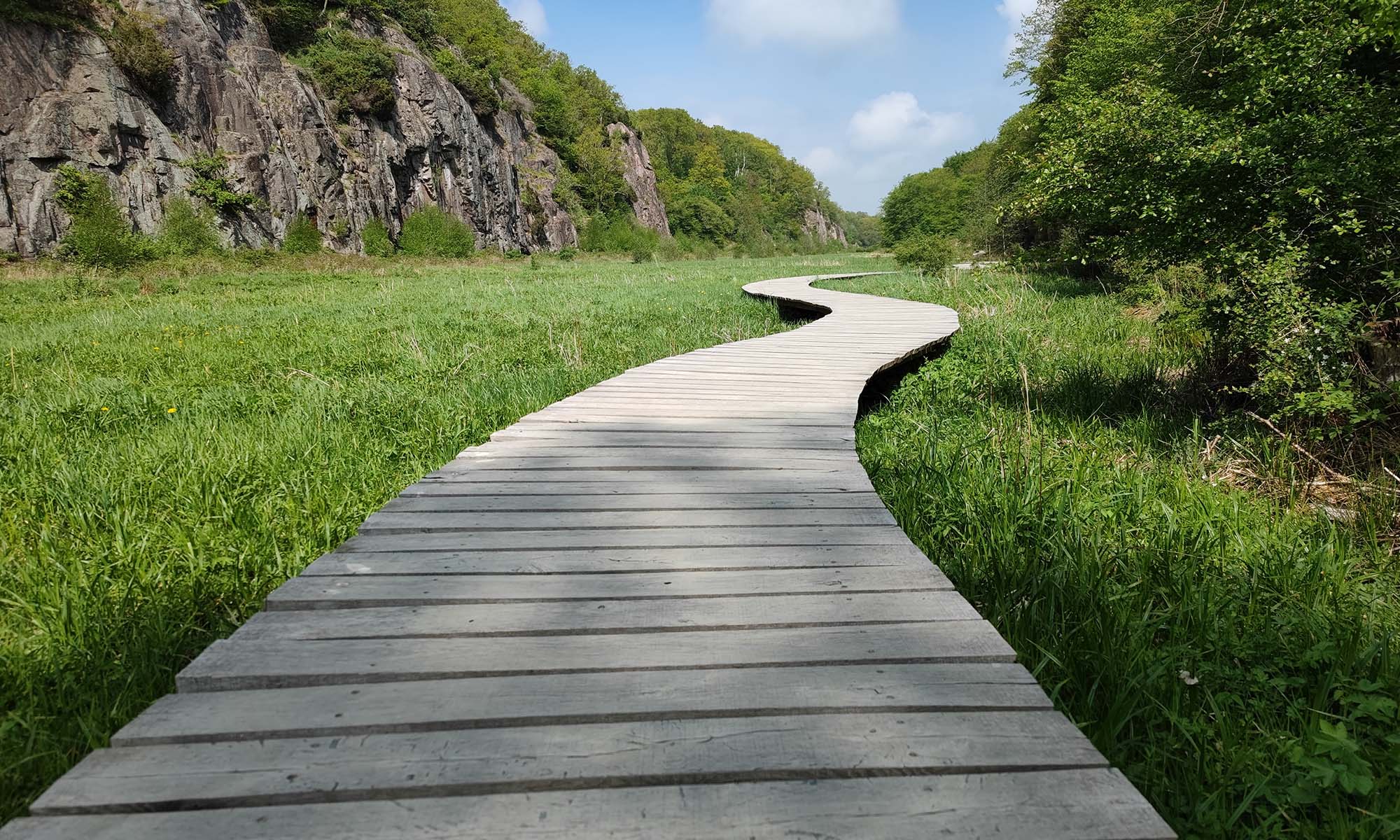 Weg über bergige grüne Wiese