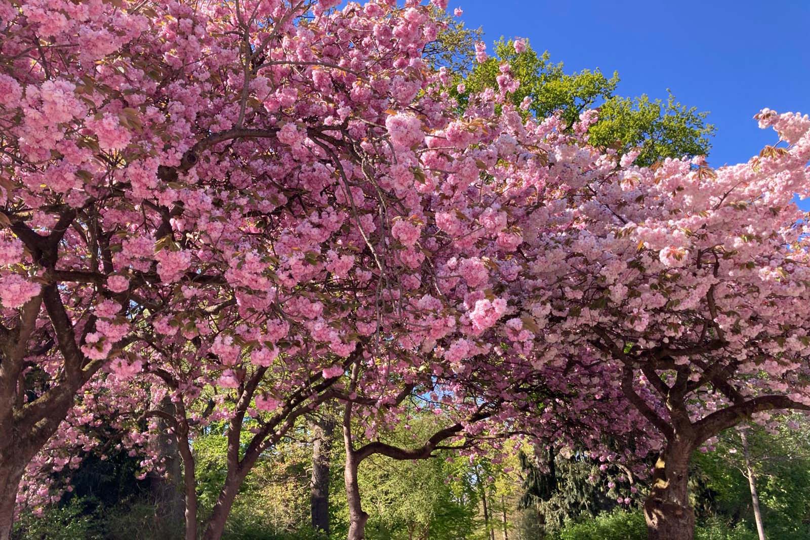 Coaching-Praxis von Maren Wolf in Lübeck-St. Jürgen – heller, harmonischer Raum für Mental Coaching, Achtsamkeit und persönliche Weiterentwicklung für Frauen